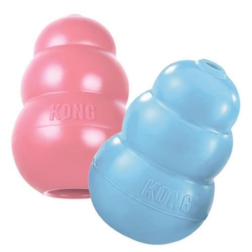 Kong
